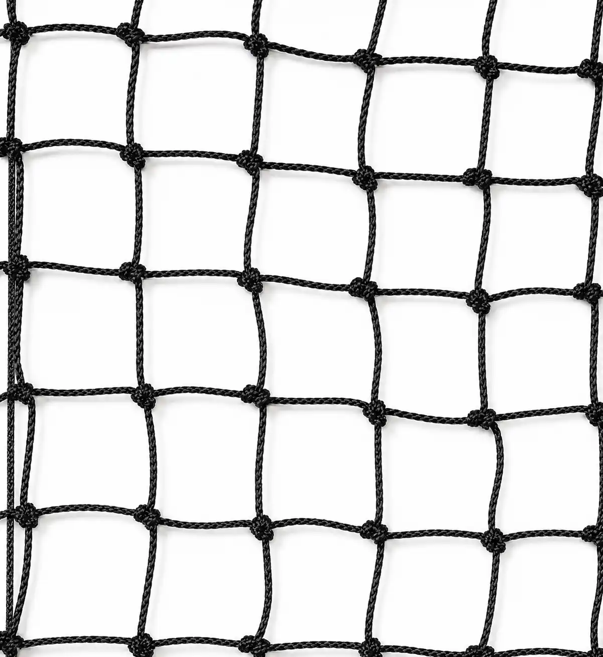 Black Bird Protection Net – 19mm Mesh (1mm Twine) | UV Stabilized Pigeon Safety Net
