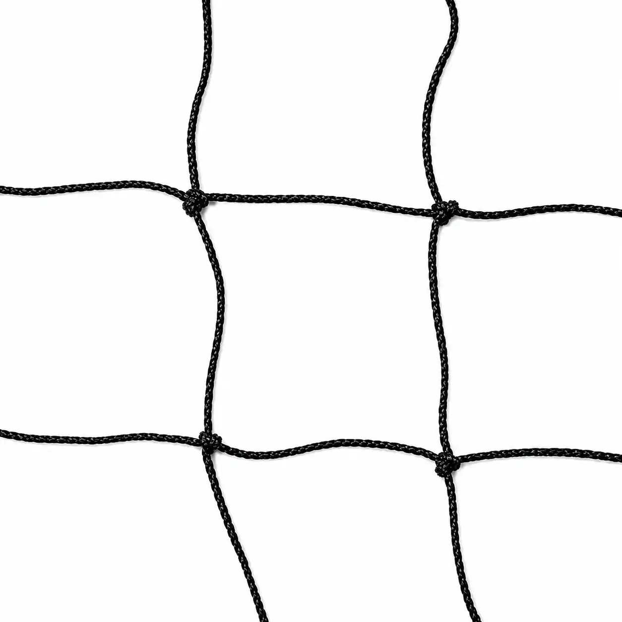 Black Bird Protection Net – 50mm Mesh (1mm Twine)